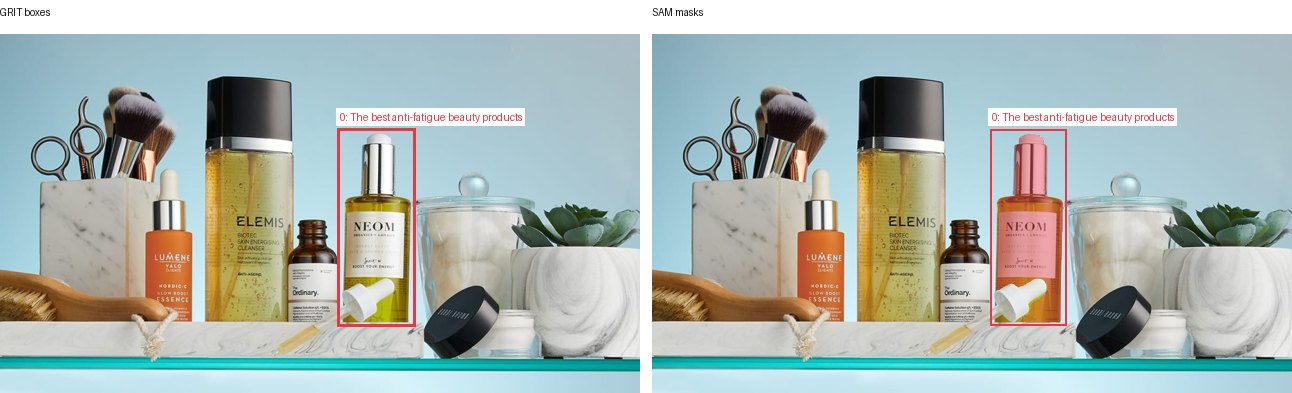 GRIT boxes and SAM masks