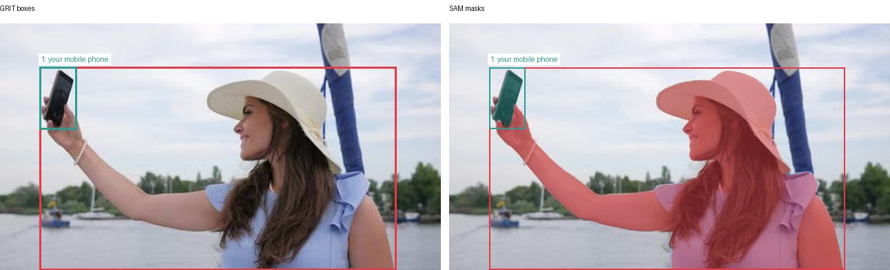 GRIT boxes and SAM masks