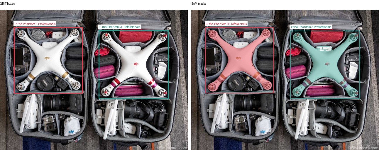 GRIT boxes and SAM masks