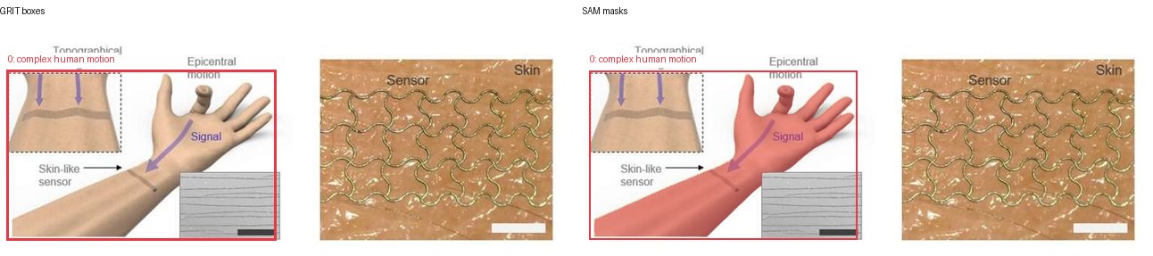 GRIT boxes and SAM masks