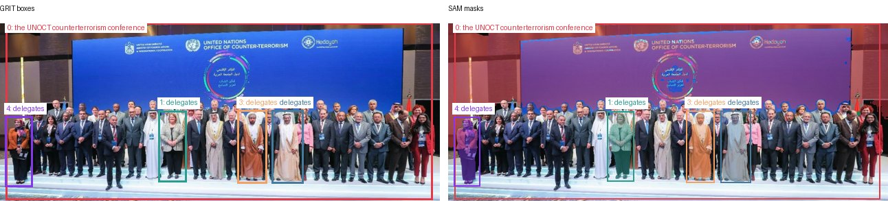 GRIT boxes and SAM masks