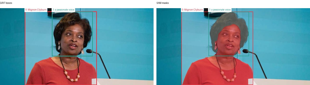 GRIT boxes and SAM masks