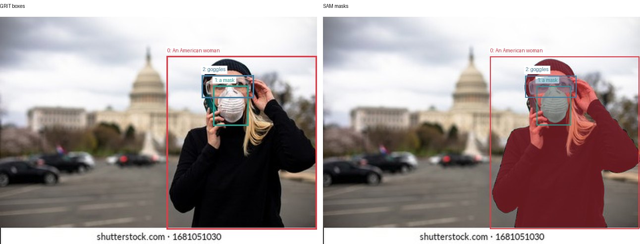 GRIT boxes and SAM masks