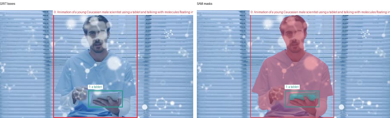 GRIT boxes and SAM masks