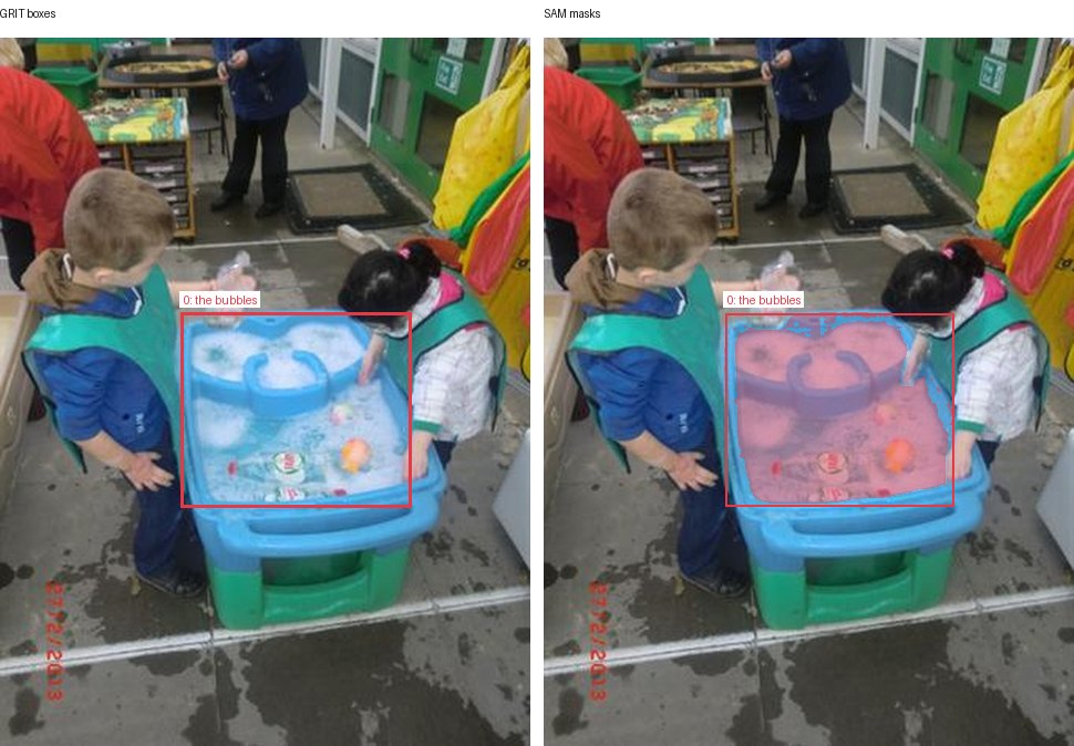 GRIT boxes and SAM masks