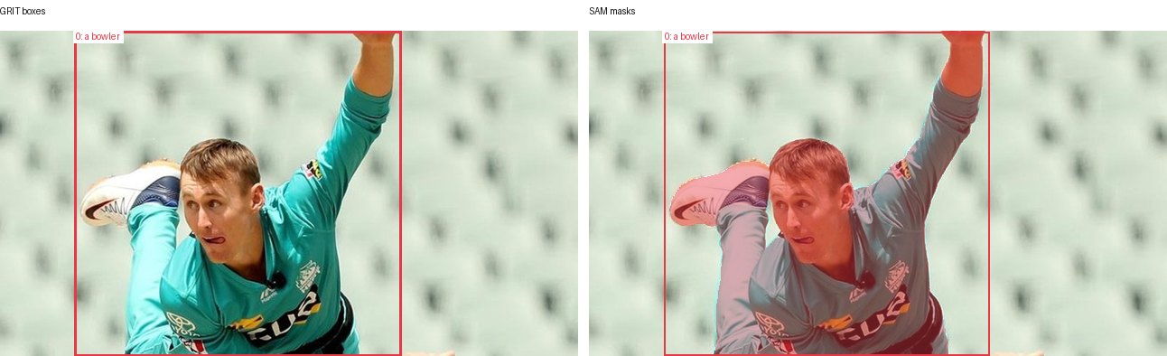 GRIT boxes and SAM masks