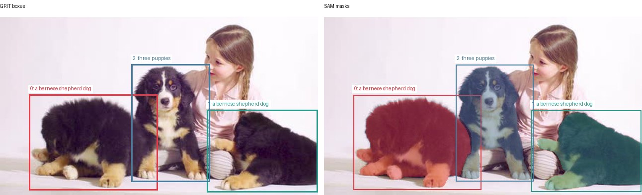 GRIT boxes and SAM masks