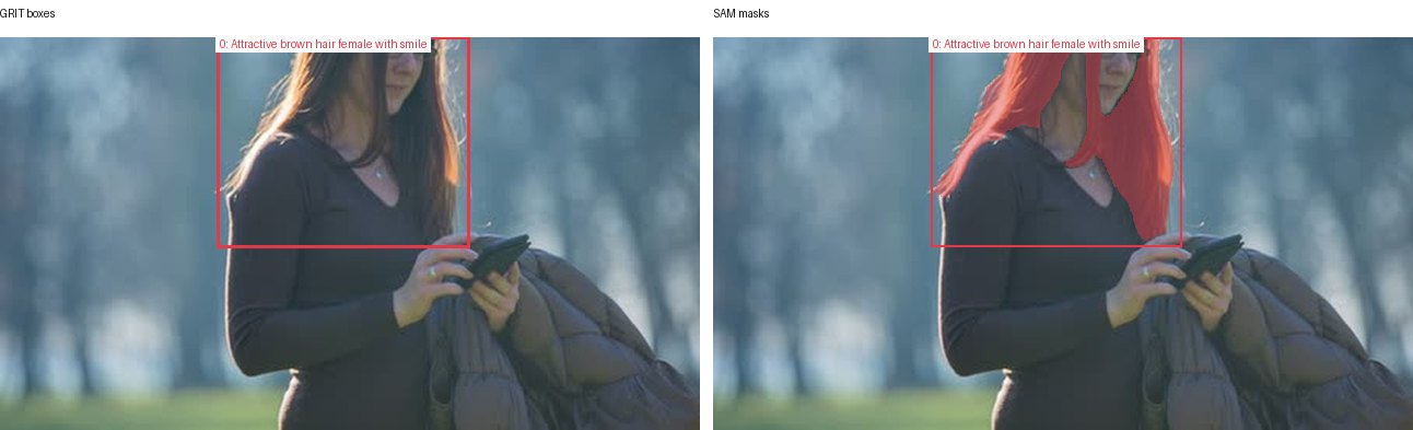 GRIT boxes and SAM masks