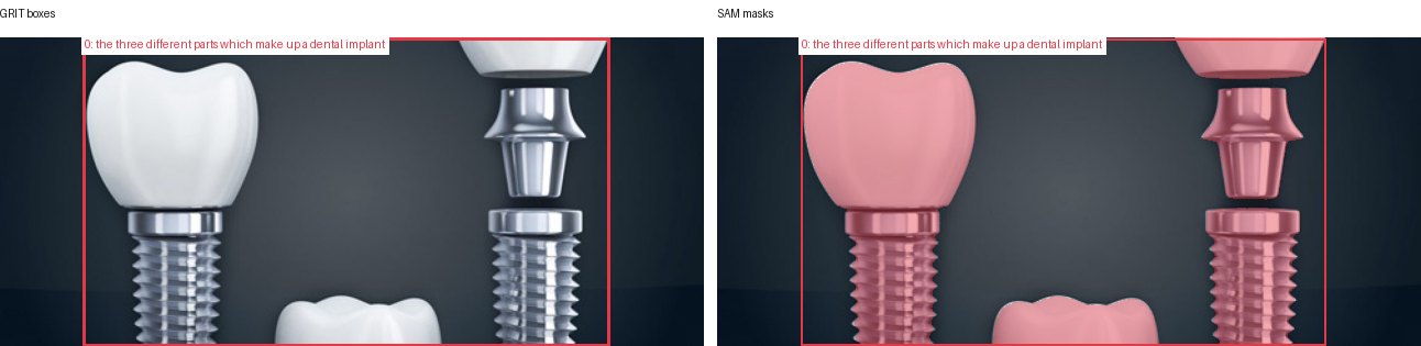 GRIT boxes and SAM masks
