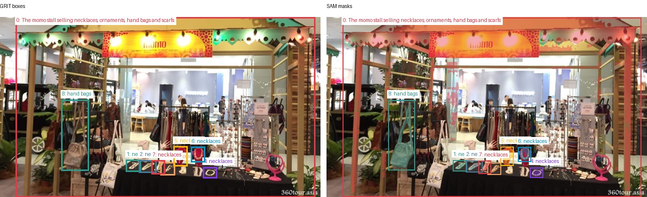 GRIT boxes and SAM masks