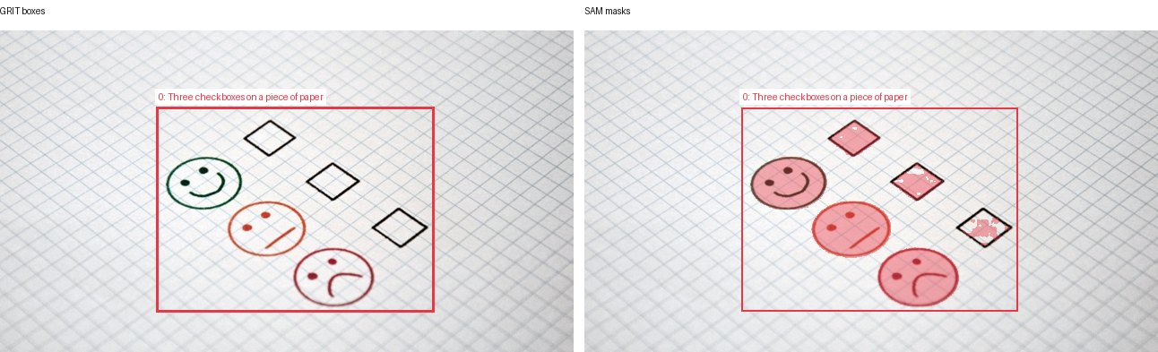 GRIT boxes and SAM masks