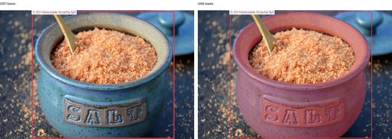 GRIT boxes and SAM masks