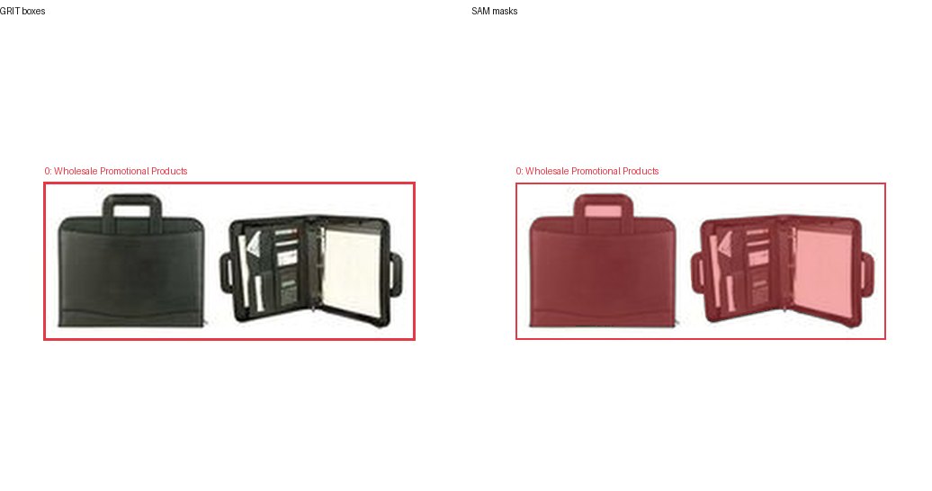 GRIT boxes and SAM masks