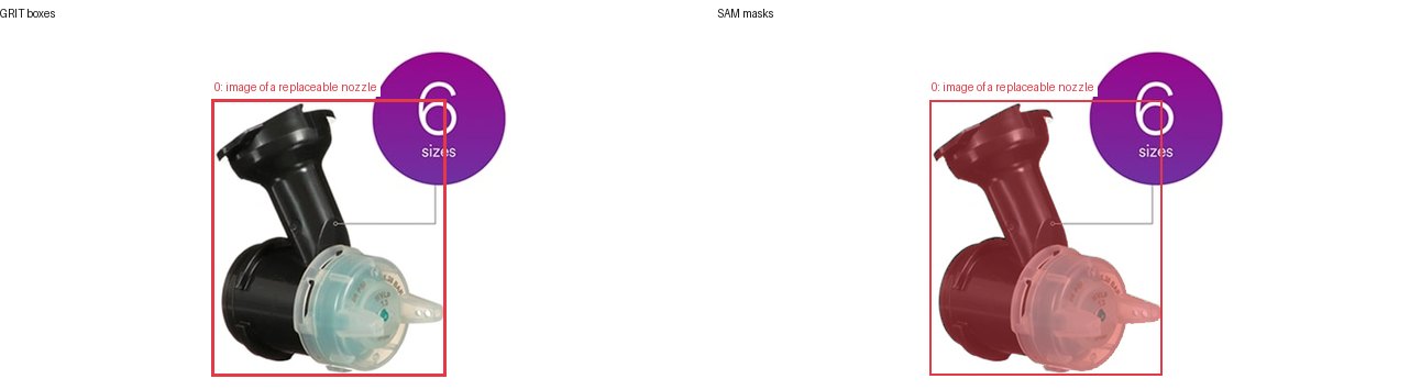 GRIT boxes and SAM masks