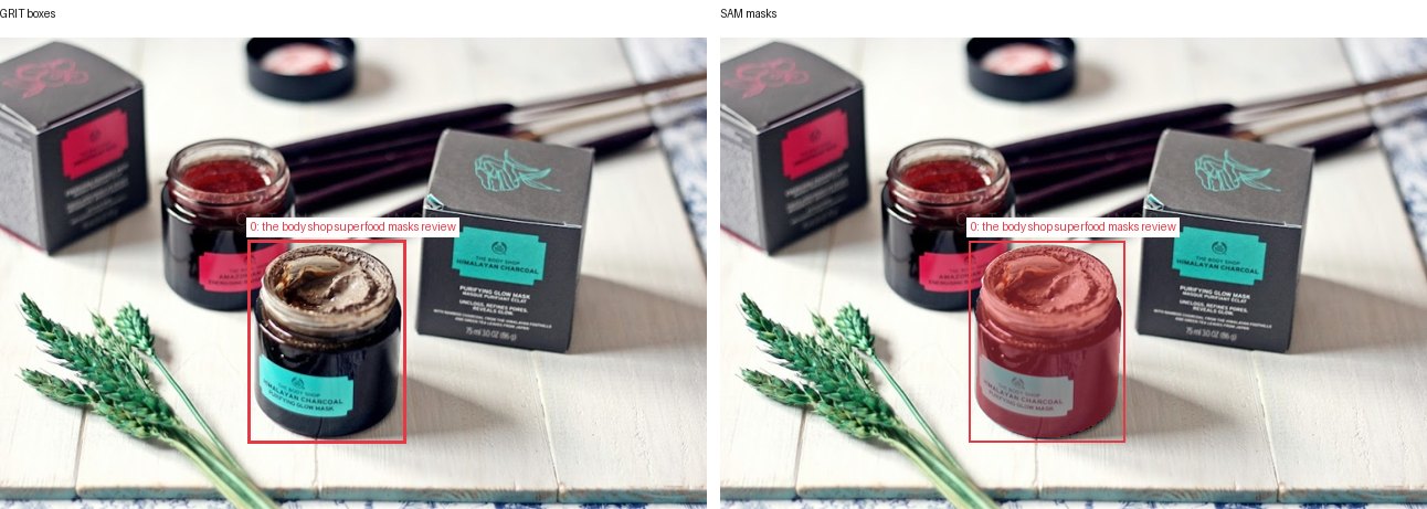 GRIT boxes and SAM masks