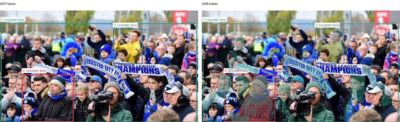 GRIT boxes and SAM masks