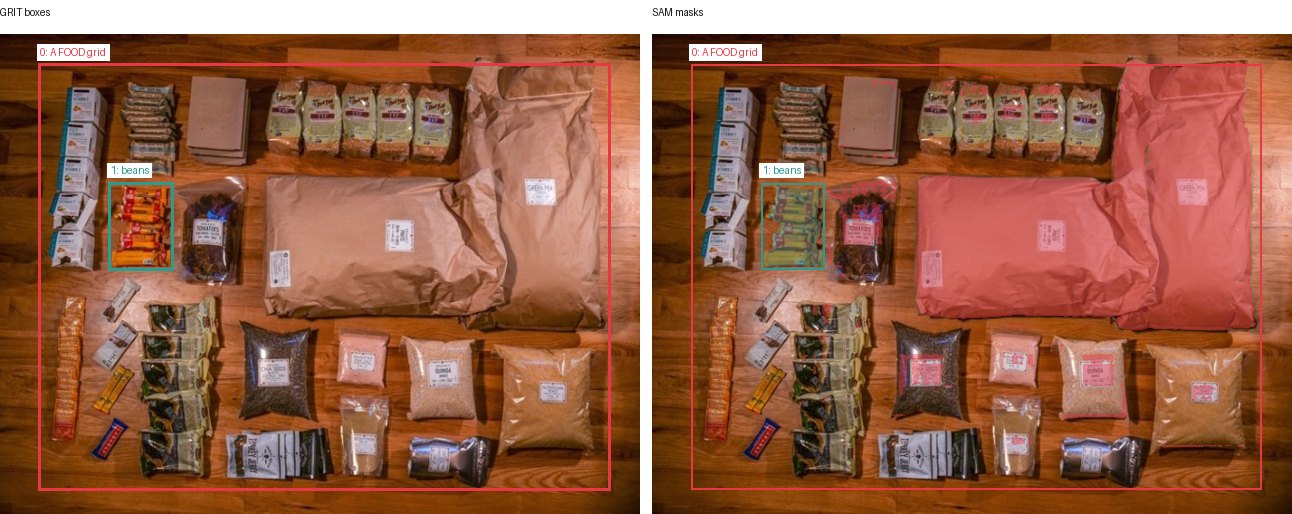 GRIT boxes and SAM masks