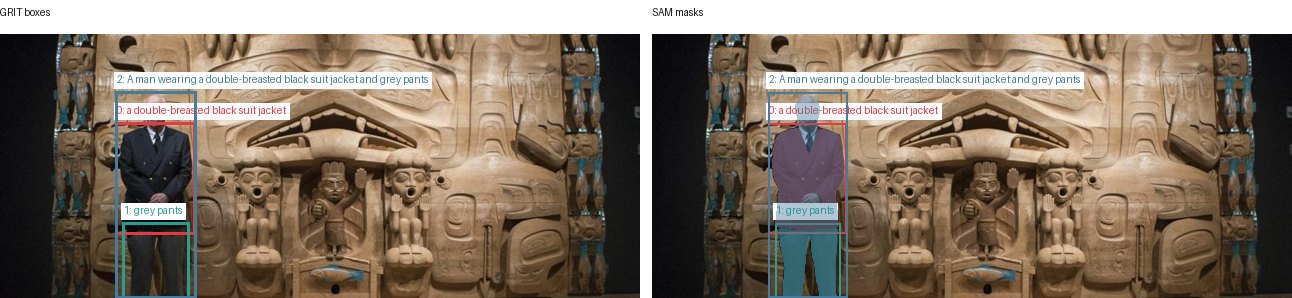 GRIT boxes and SAM masks