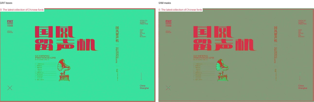 GRIT boxes and SAM masks