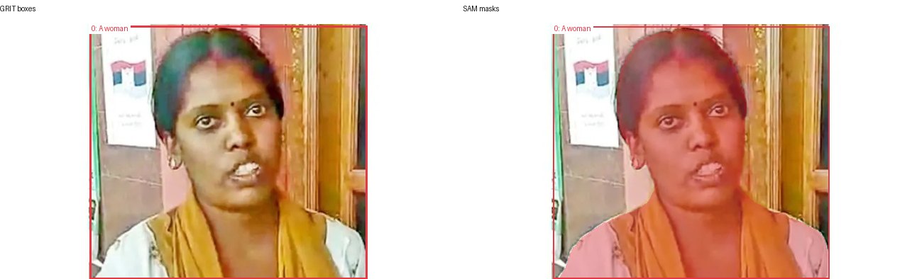 GRIT boxes and SAM masks
