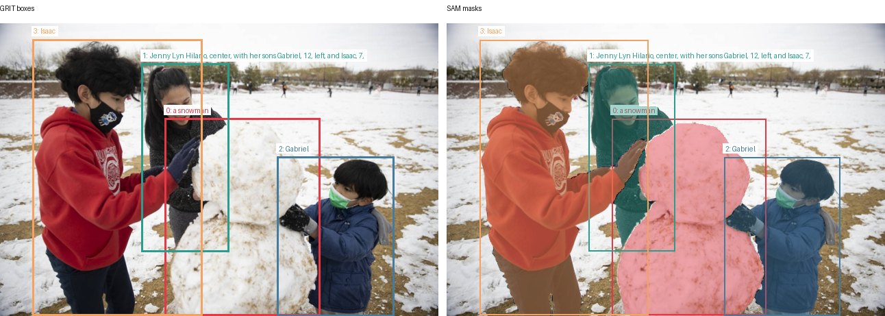 GRIT boxes and SAM masks