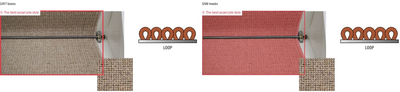 GRIT boxes and SAM masks