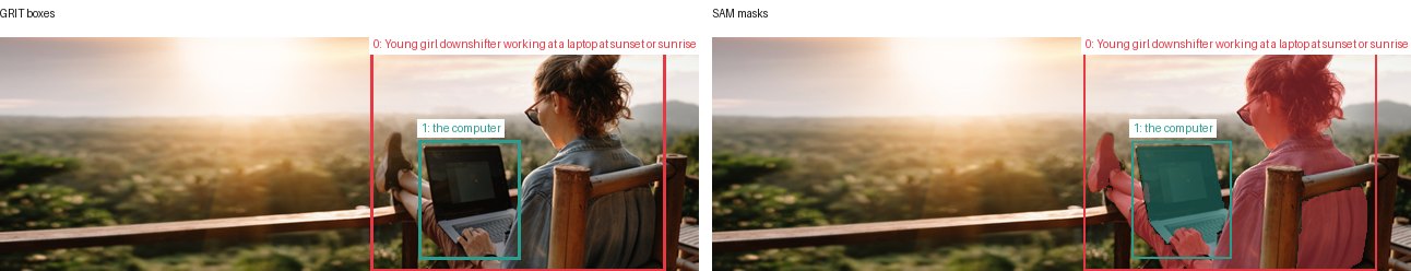 GRIT boxes and SAM masks