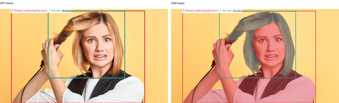 GRIT boxes and SAM masks