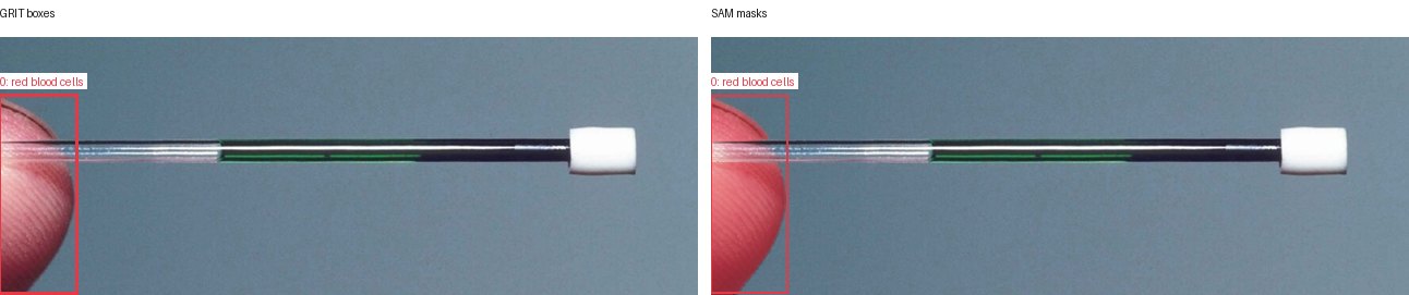 GRIT boxes and SAM masks
