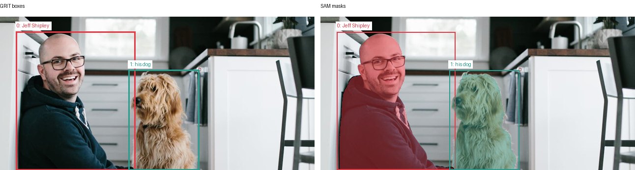 GRIT boxes and SAM masks