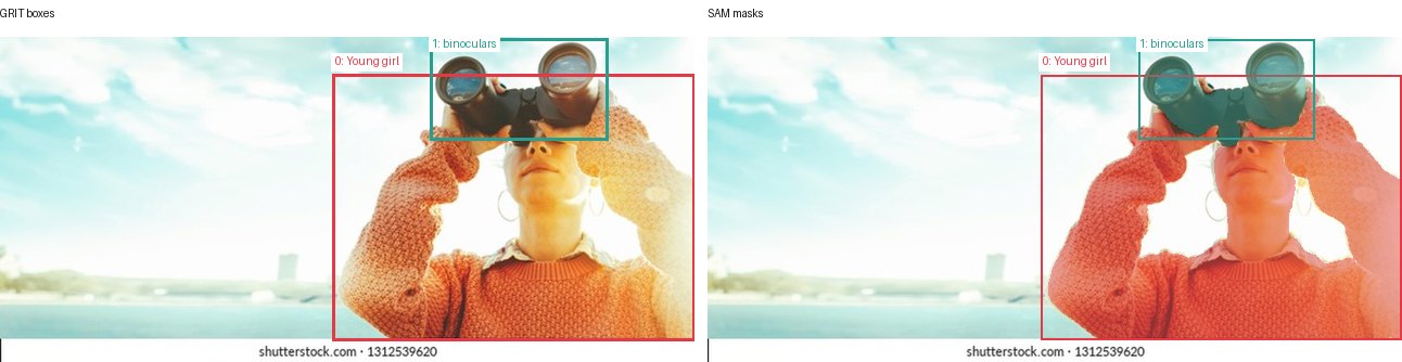 GRIT boxes and SAM masks