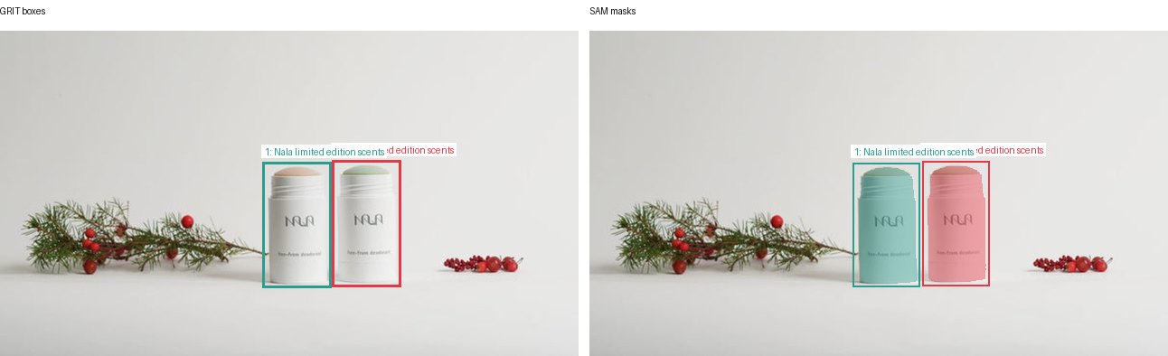 GRIT boxes and SAM masks