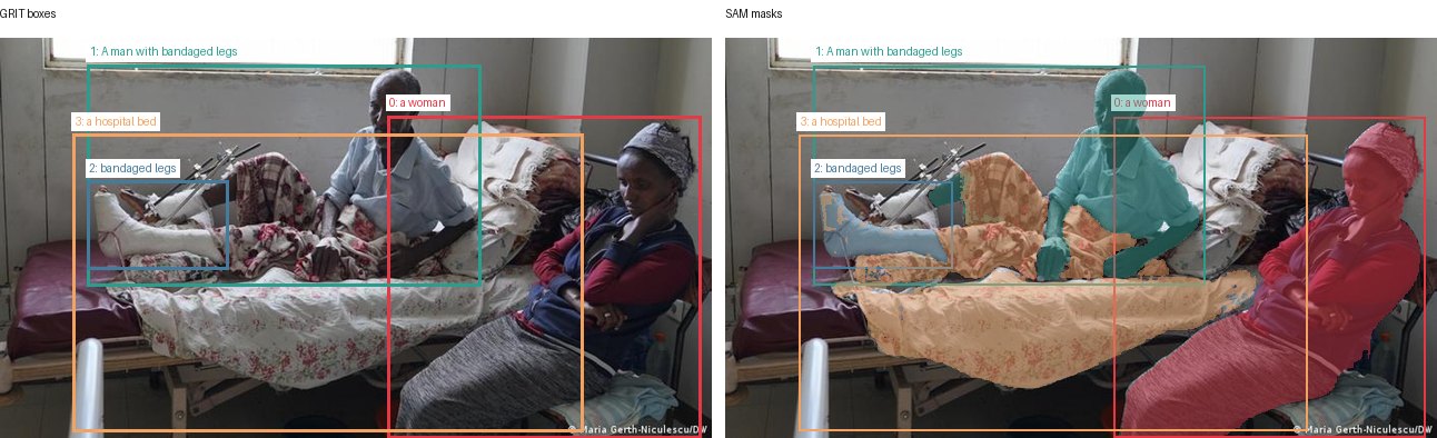 GRIT boxes and SAM masks