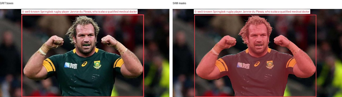 GRIT boxes and SAM masks