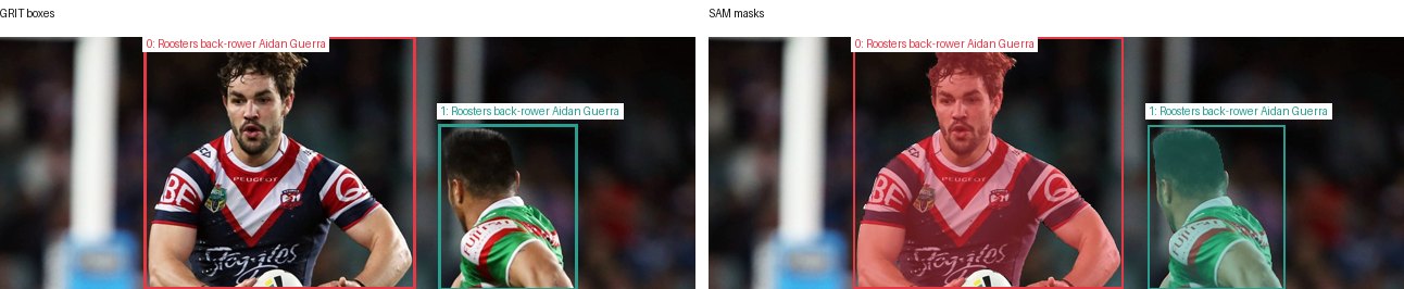 GRIT boxes and SAM masks