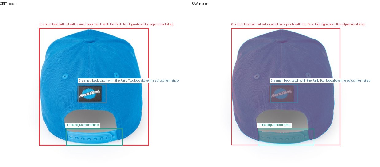 GRIT boxes and SAM masks