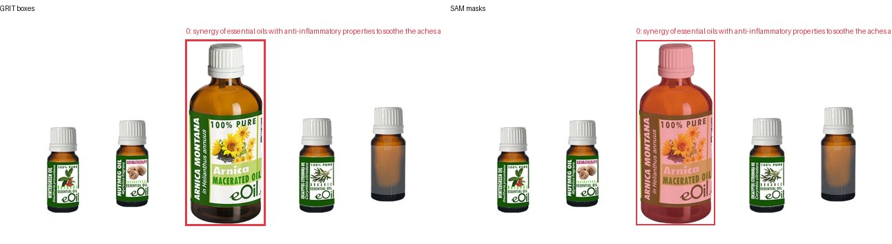 GRIT boxes and SAM masks