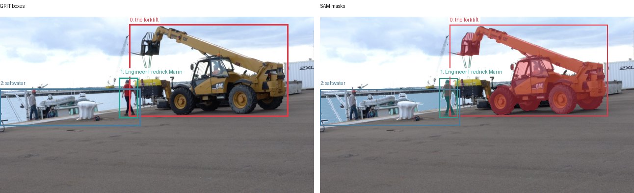 GRIT boxes and SAM masks