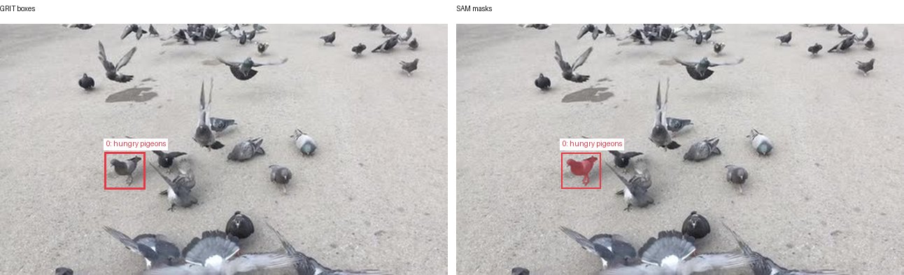GRIT boxes and SAM masks