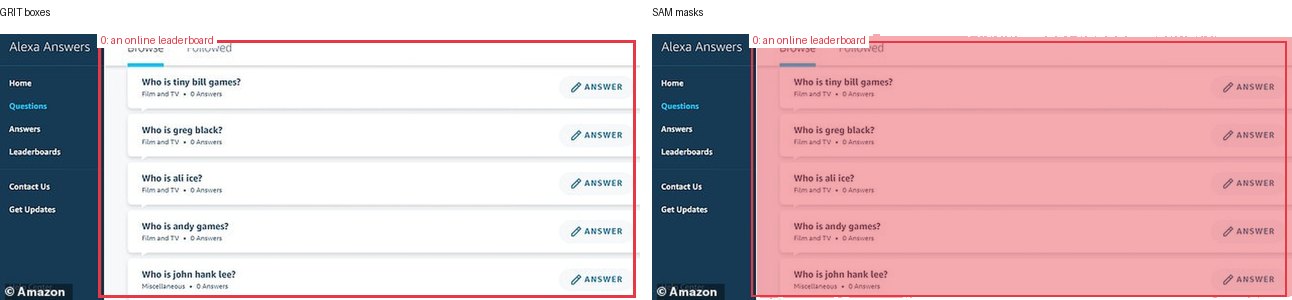 GRIT boxes and SAM masks