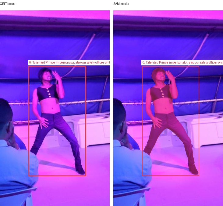 GRIT boxes and SAM masks