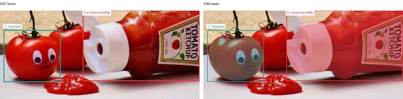 GRIT boxes and SAM masks