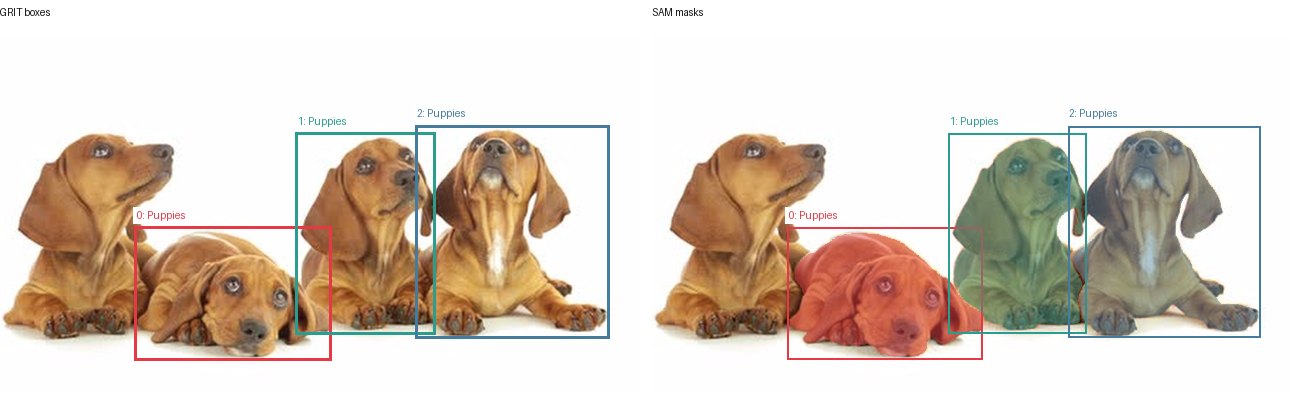 GRIT boxes and SAM masks