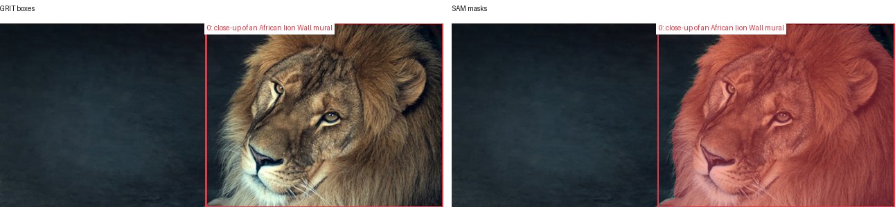 GRIT boxes and SAM masks
