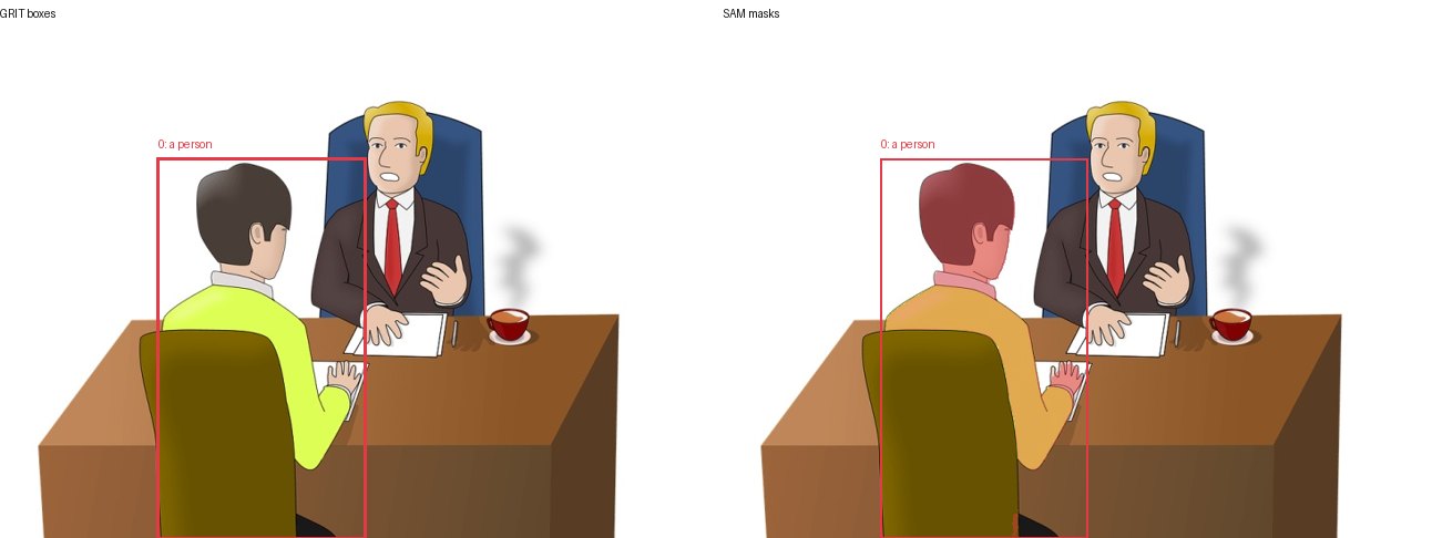 GRIT boxes and SAM masks