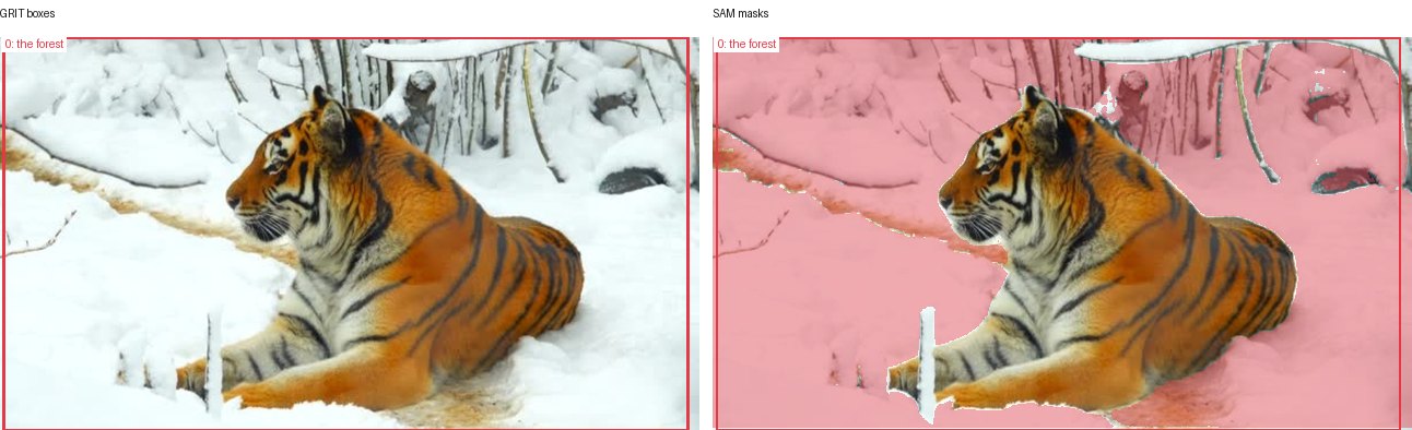 GRIT boxes and SAM masks