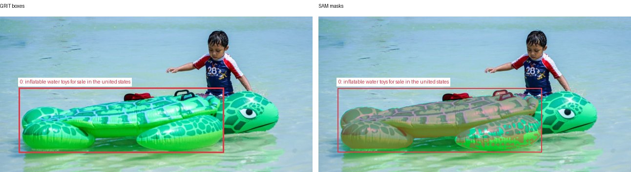 GRIT boxes and SAM masks