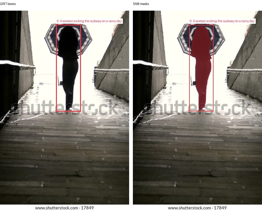 GRIT boxes and SAM masks