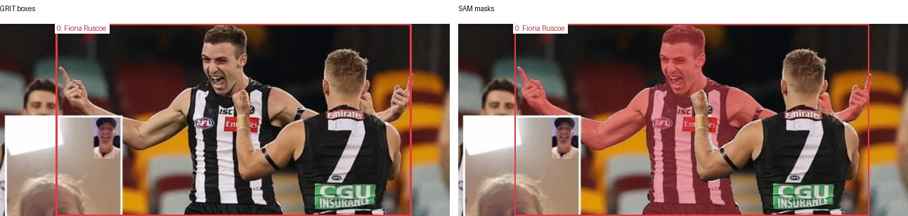 GRIT boxes and SAM masks