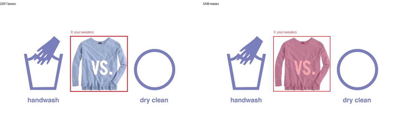 GRIT boxes and SAM masks